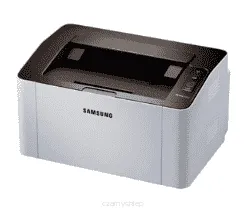Xpress M2020 W