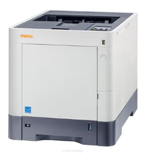 P-C3061 DN