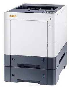 P-C3062 DN