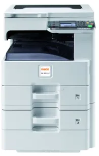 CD 5025
