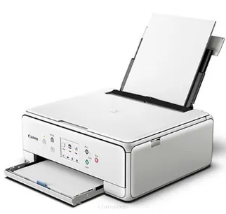 TS6020 white
