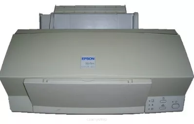 Stylus  300