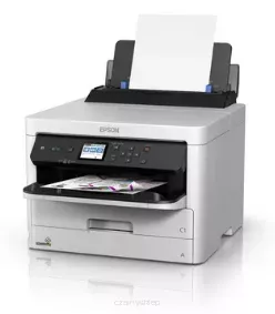 WorkForce WF-C5290