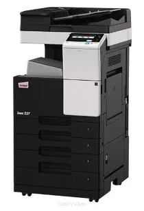 Ineo 227