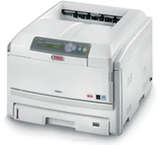 C810