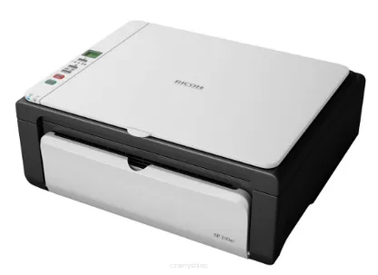 SP100