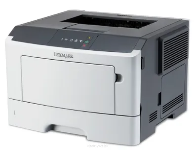 MS310